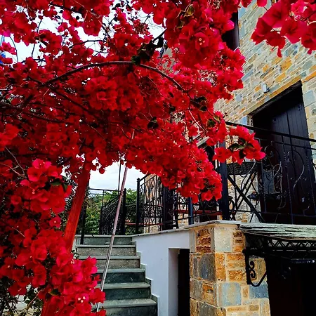 Captainhouse Pensiune Afissos